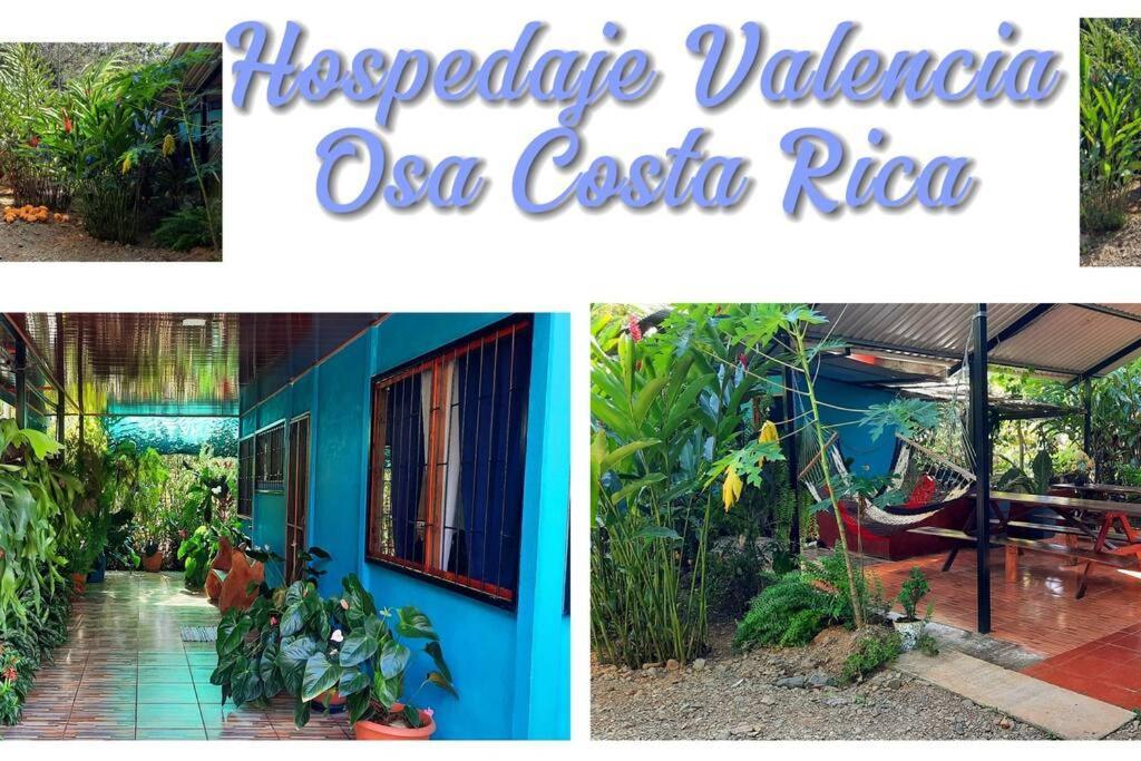 Hospedaje Valencia Osa, Cr Potrero  외부 사진