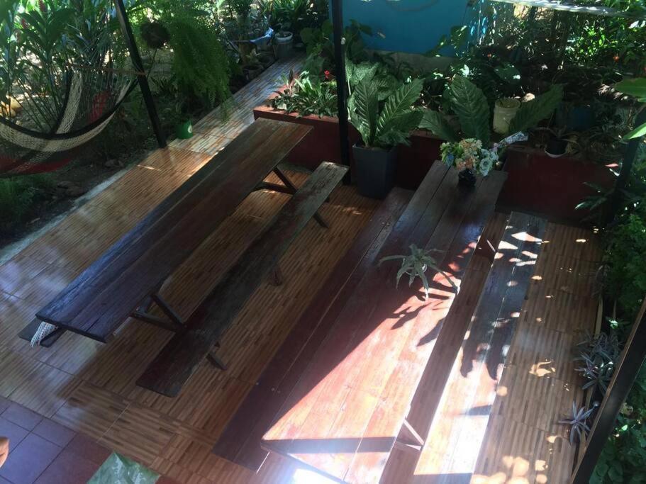 Hospedaje Valencia Osa, Cr Potrero  외부 사진