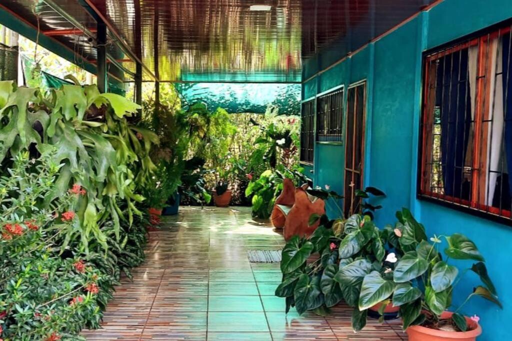 Hospedaje Valencia Osa, Cr Potrero  외부 사진