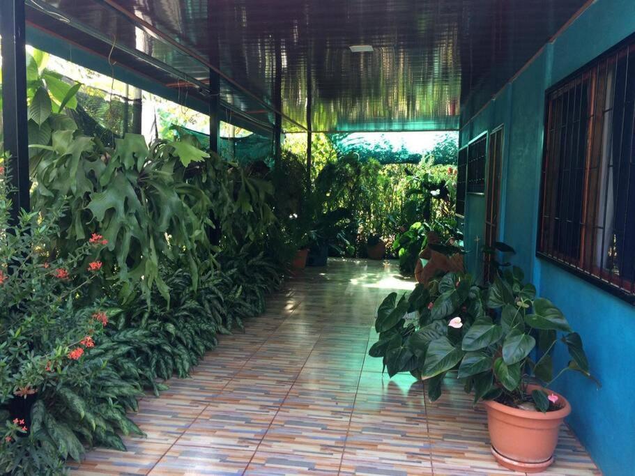 Hospedaje Valencia Osa, Cr Potrero  외부 사진