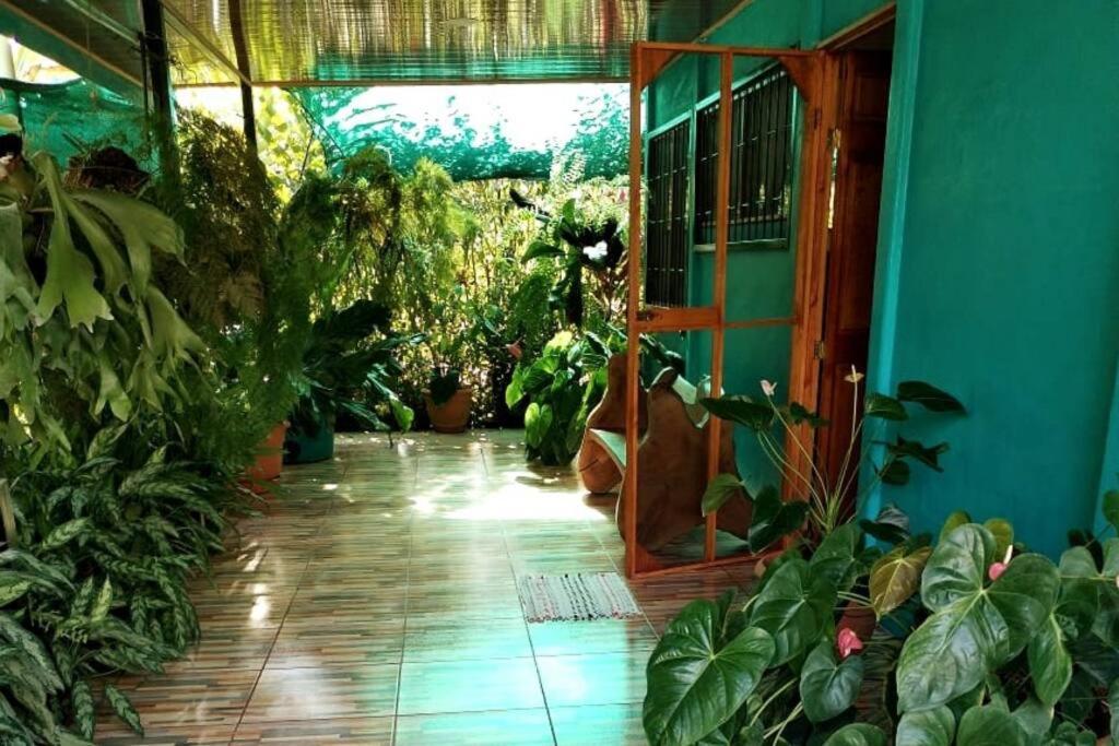 Hospedaje Valencia Osa, Cr Potrero  외부 사진